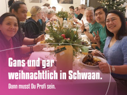 comcura-intensiv-gansessen-in-schwaan