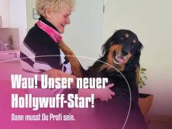 comcura-intensivholly