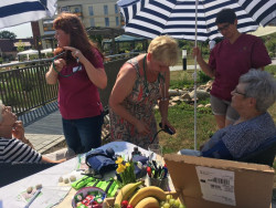 comkulikbild1coswiger-fruehlingsfest-2018web